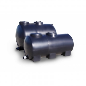 Fossa Compacta Biol&oacute;gica