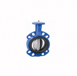 V&aacute;lvulas Borboleta